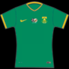 Nike Bafana bafana soccer supporter Home Jersey for Women