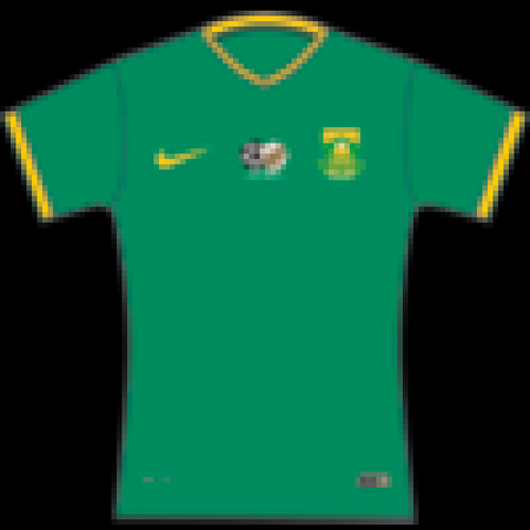 Nike Bafana bafana soccer supporter Home Jersey for Women